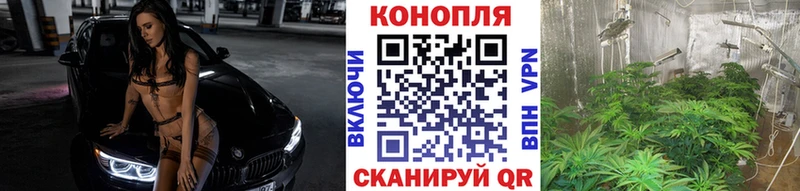kraken как зайти  Чулым  Бошки марихуана VHQ 